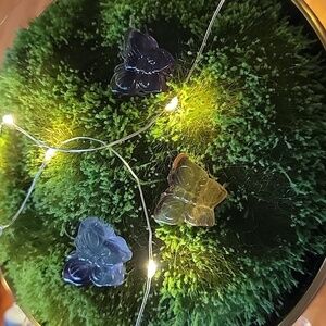 🍀Candy Fluorite Butterflies
